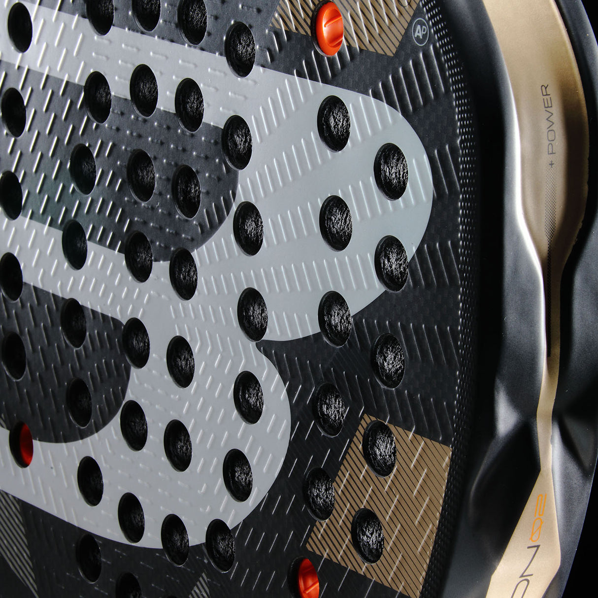 Neuron 02 Chingotto 2026